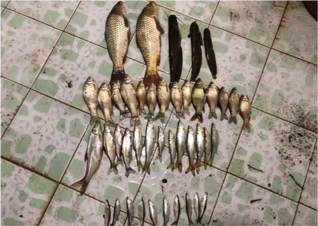 正当这名男子沾沾自喜的时候,当地民警神兵天降,将电捕鱼男子逮了个正