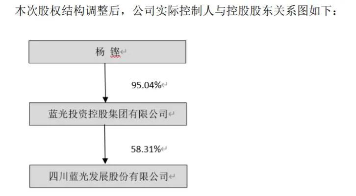 杨铿董事长_上交所:对蓝光发展董事长杨铿等人予以通报批评