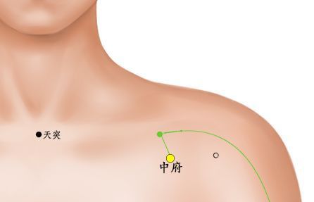 中府穴调补中气的要穴