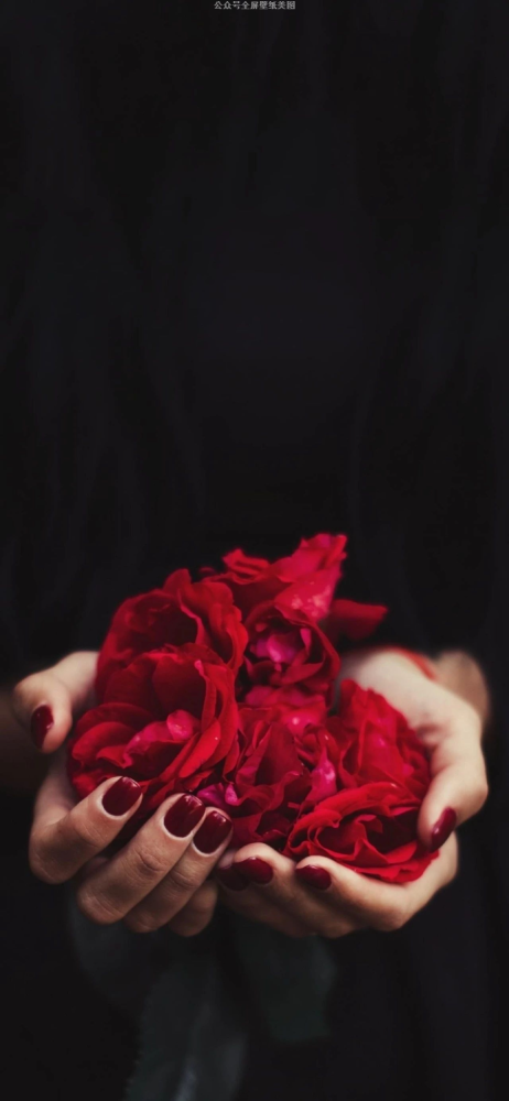 Iphone壁纸 高清苹果壁纸优选6 4 腾讯新闻