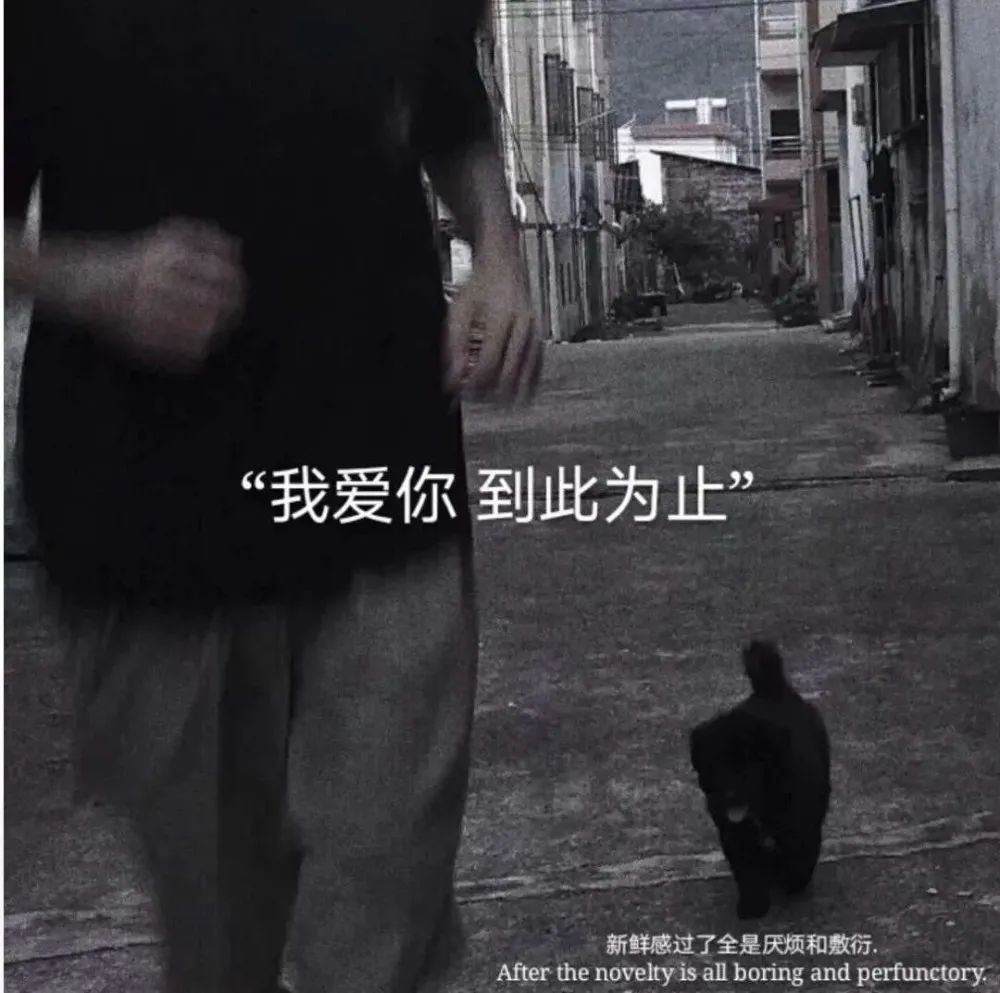 句句戳心的网易云热评文案