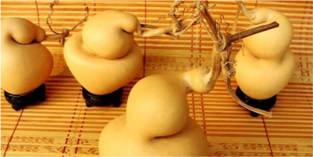 看似闷葫芦的星座一旦爱上或是宠妻或炫夫狂魔追到就赚了