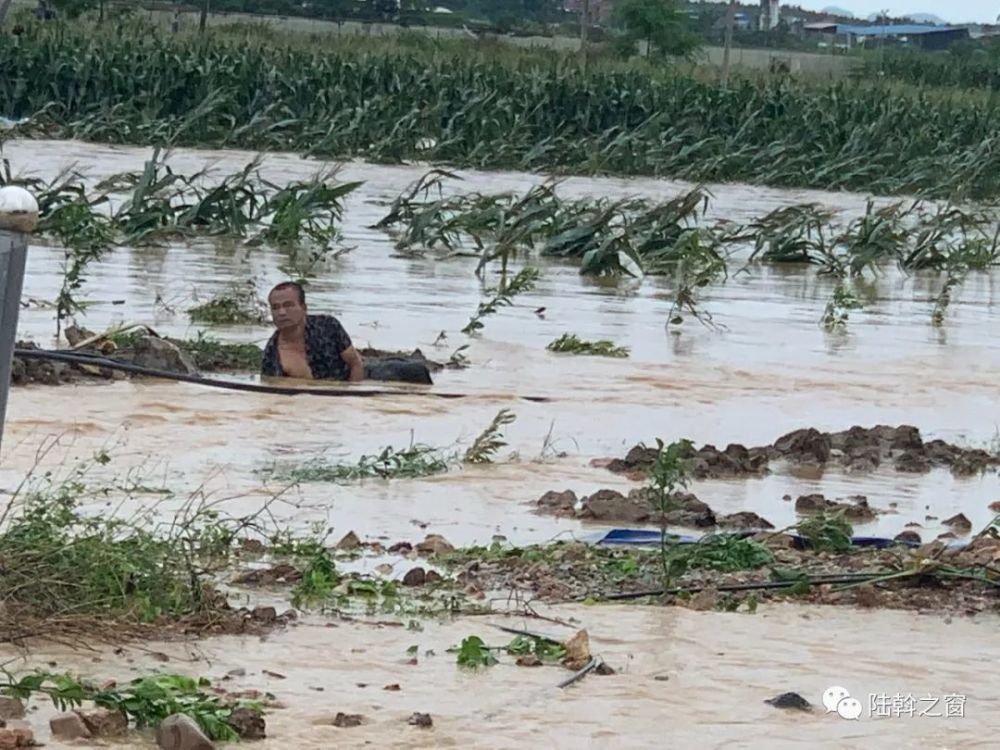 武鸣一村民强行过桥被洪水冲走幸好他们及时出手