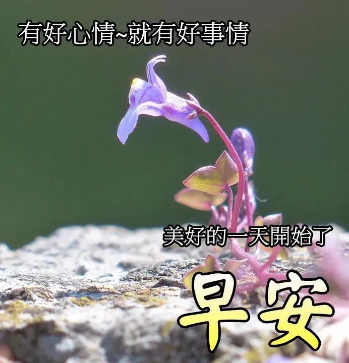 6月28日早上好问候祝福动态表情图片最美早安问候语动态图片表情