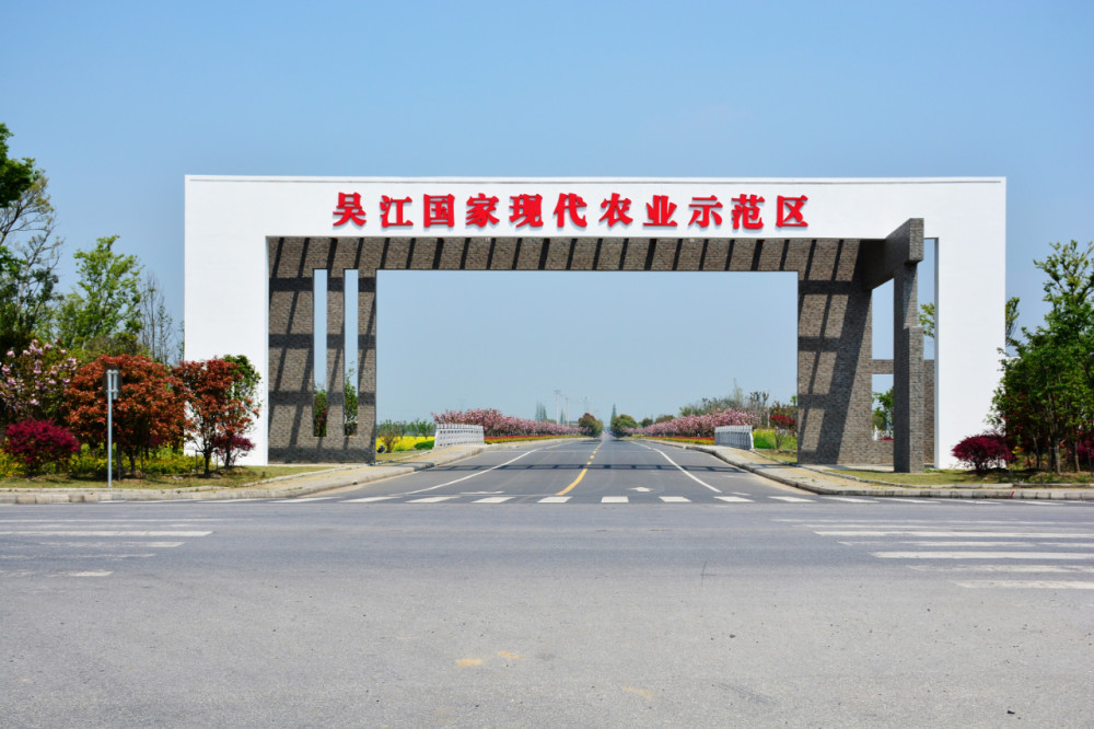 乔木批发价格风云背后的机会与挑战