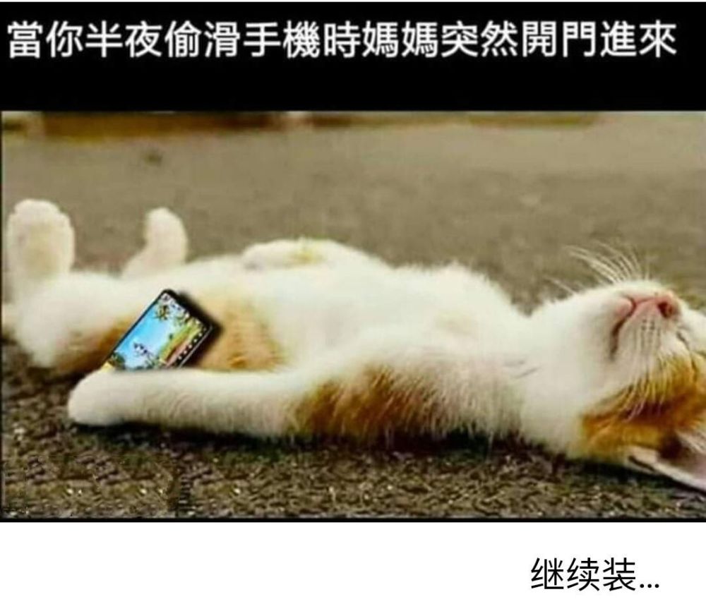 内容过于真实的沙雕趣图|网友:请把安在我身上的监控拆掉