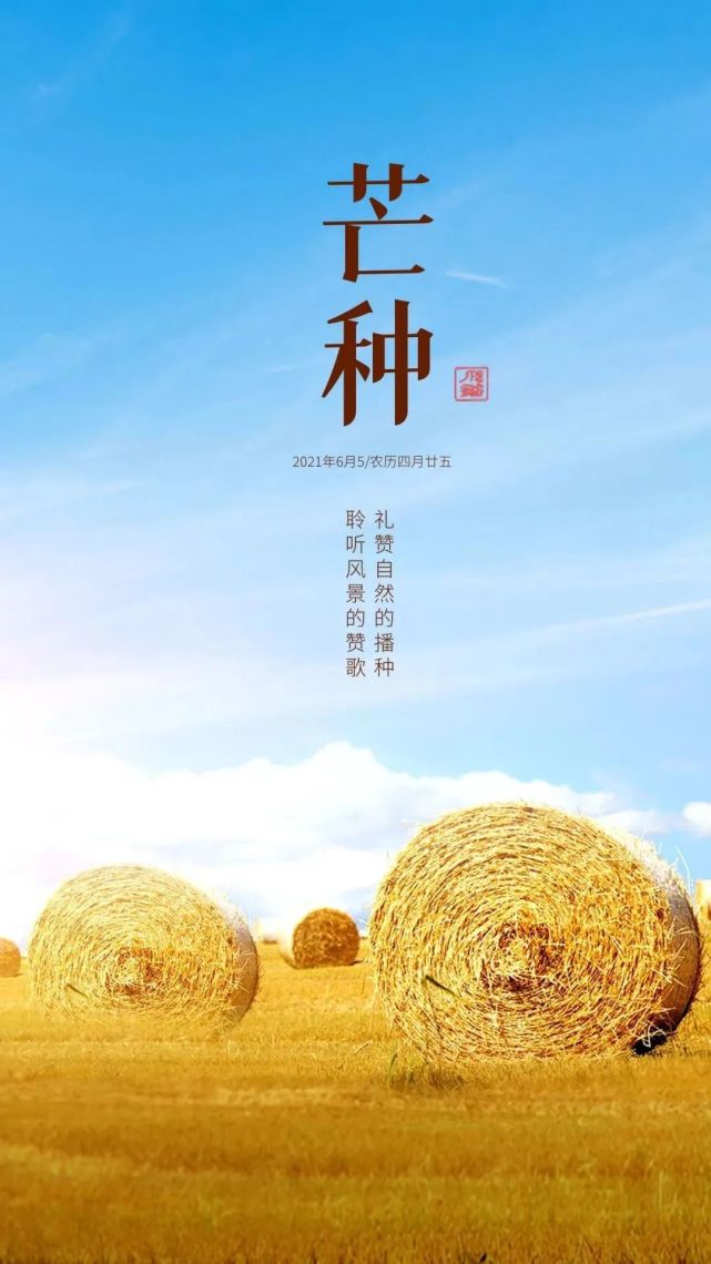 芒种快乐,最美的一句祝福语