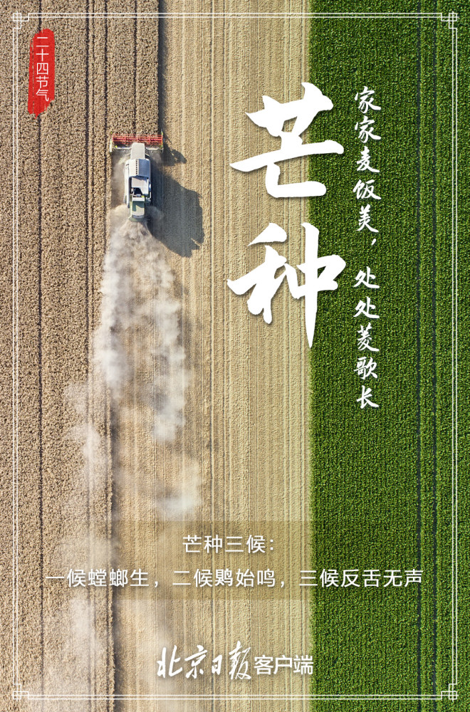 今日芒种 仲夏来临 麦收稻种 梅雨至 Qtc Care