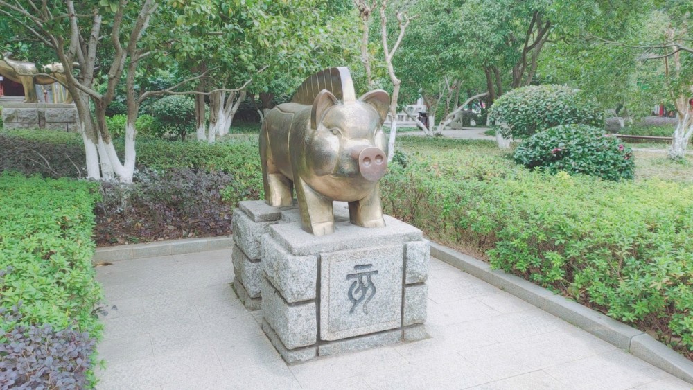 乡下土猪丰臣秀吉 想拱城里白菜织田市 白菜宁死也不让土猪得逞 全网搜