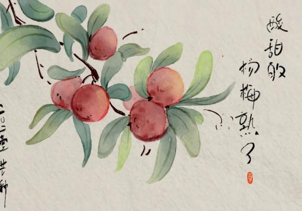 手绘丨芒种时节,忙有所得