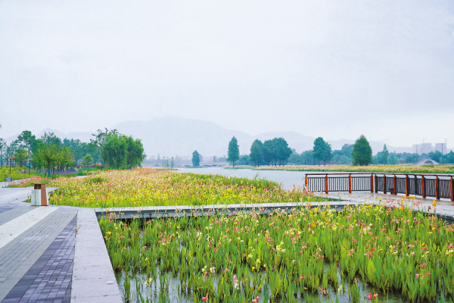 富阳阳陂湖生态修复成效初显一湖七园已基本建成