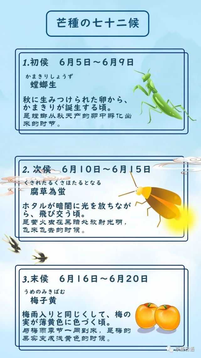 京鹿日语小课堂——芒种(ぼうしゅ)