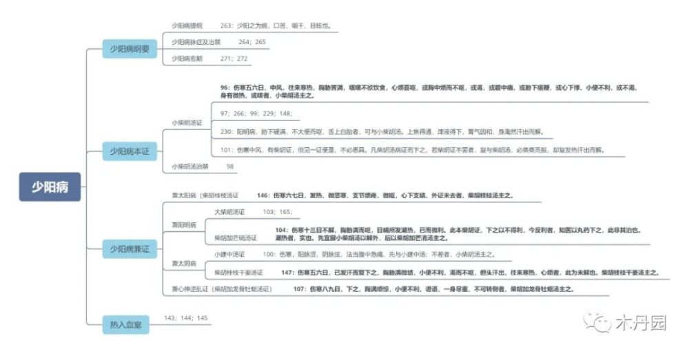 傷寒論講義辨少陽病脈證並治重點內容思維導圖_騰訊新聞