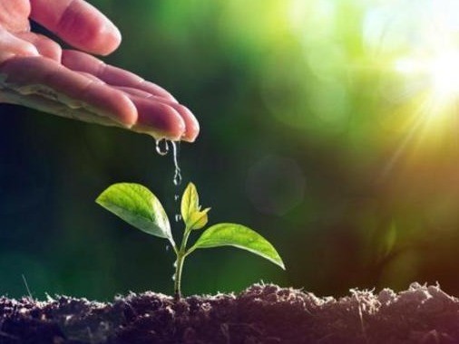 构建富有生命力的现代产业体系 深圳以低碳引领绿色发展_腾讯新闻