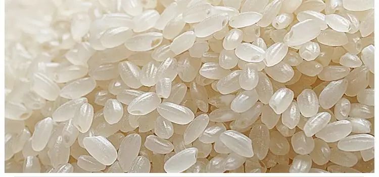 一条大河波浪宽风吹稻花向两岸今天你吃饭了吗