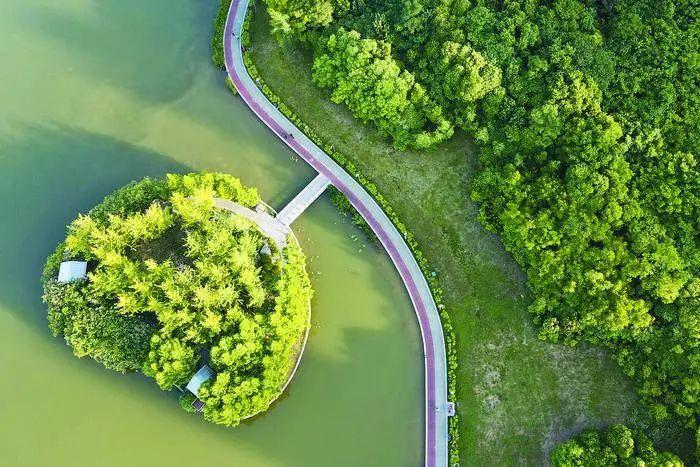 三河一山打造魅力生态绿色通道