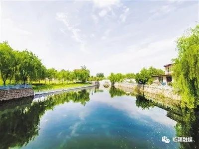 蒙蒙细雨中,河南省漯河市临颍县大郭镇胡桥村绿意盎然,生机勃勃.