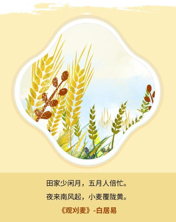 芒种|趁时而种 忙有所得_腾讯新闻