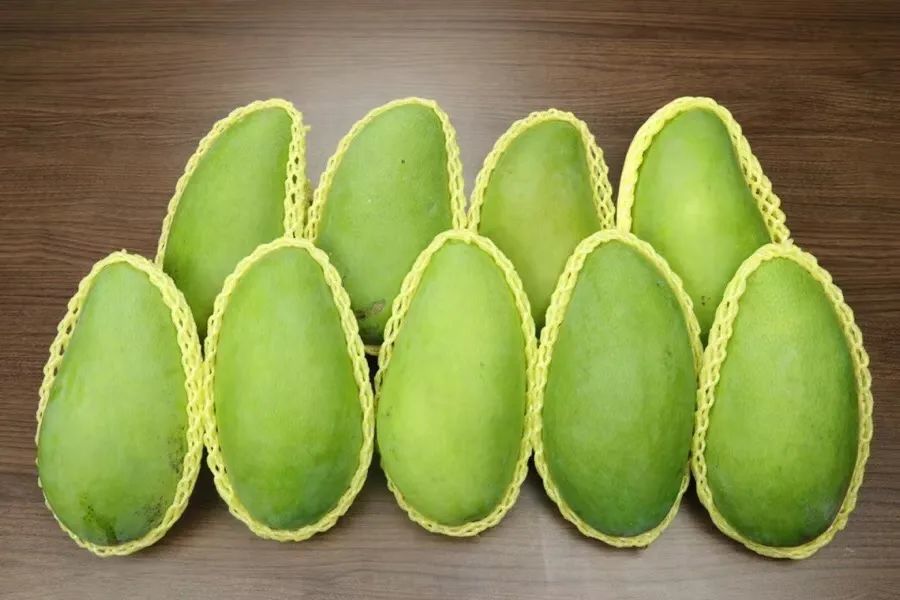 广西金煌芒5斤只要19.8元!