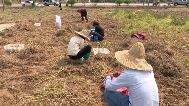 连平县忠信镇柘陂村村民  吴国勇:"我在这里工作两年多了,一个月4000