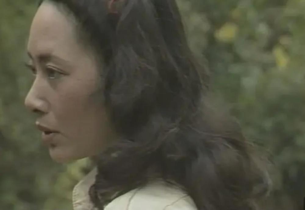 乌龙山剿匪记播出35年钻山豹65岁仍单身田秀姑成作家