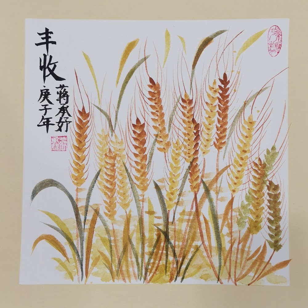 今日芒种,又是一年麦子丰收时