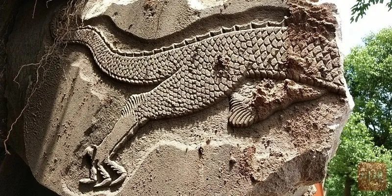 古墓上刻有龙纹