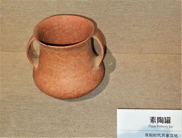 青海省海东市乐都区柳湾村柳湾遗址附近,是我国最大的以展示彩陶文化