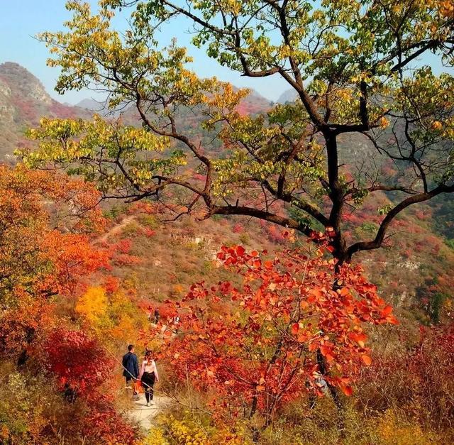 順平縣旅遊景區