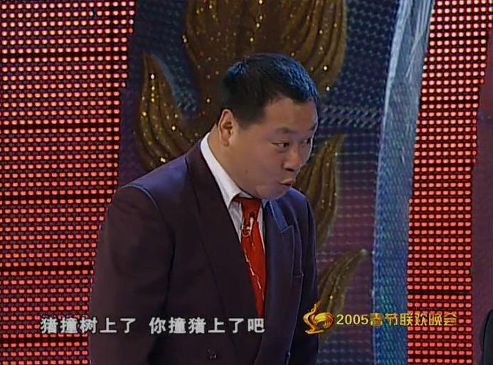 追尾了.结果,猪撞树上了,你撞猪上了.