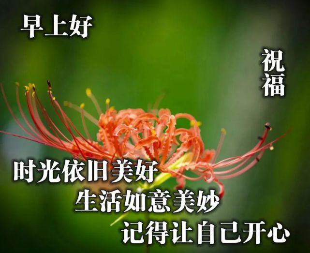 清晨問候朋友最暖心的早安祝福語句微信朋友圈漂亮的早安問候圖片