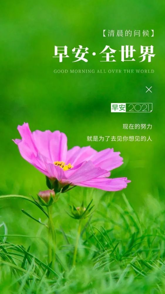 6月6日早安日签图片正能量带字 阳光早上好语句 迎接新的一天 腾讯新闻