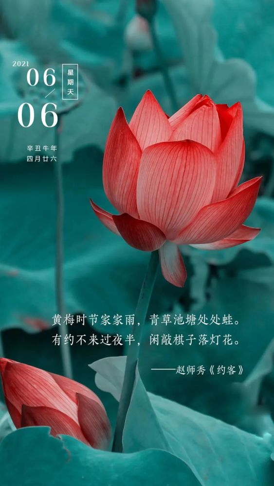 6月6日早安日签图片正能量带字 阳光早上好语句 迎接新的一天 腾讯新闻