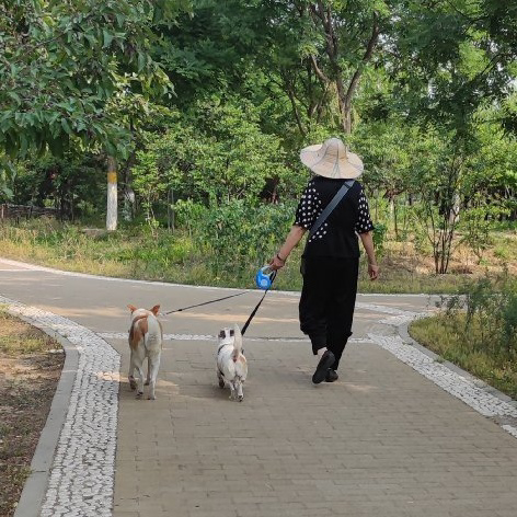早上7点,周口滨河公园里,遇到3位遛狗不拴绳的_腾讯新闻