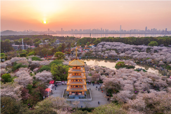 武汉东湖风景区凭什么能成为5a景区分析如下