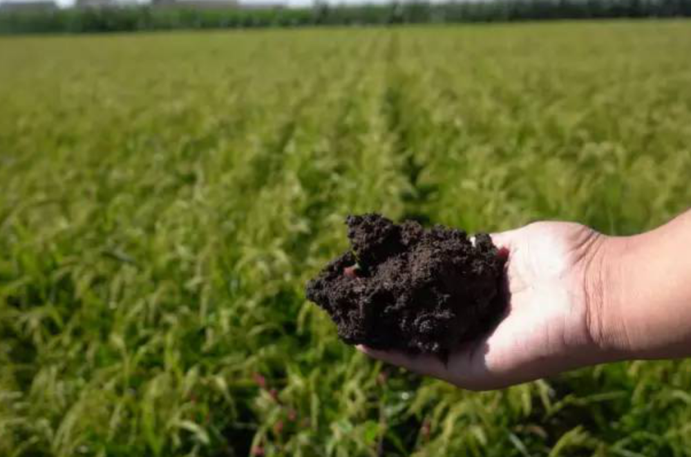 世界三大"黑土"分布国,都是世界顶尖强国,但其中一国已解体_腾讯新闻