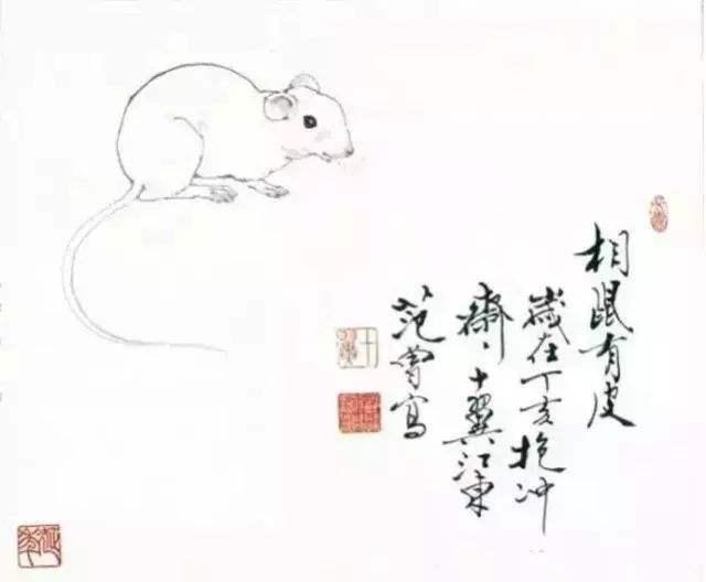 "相鼠有皮,人则无仪,人而无仪,不死何为?当时久居深宫的花蕊