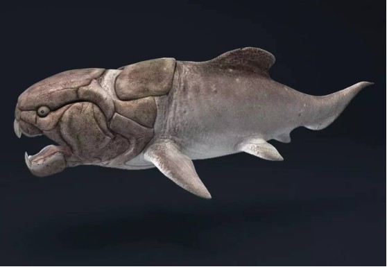 贵州发现最古老疣齿鱼科化石曾是海洋王者也是人类祖先