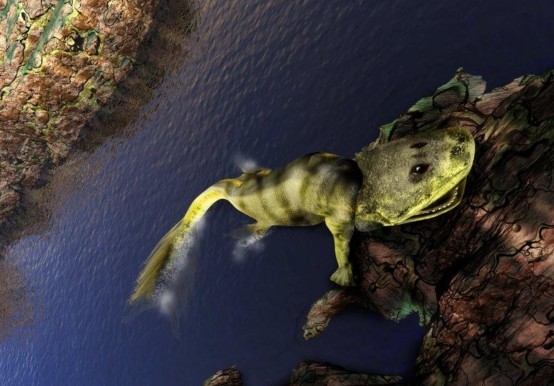 贵州发现最古老疣齿鱼科化石曾是海洋王者也是人类祖先