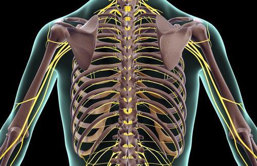 肋间神经炎主要指的是胸前肋软骨疼痛,也称为肋间神经痛,好发于20-40