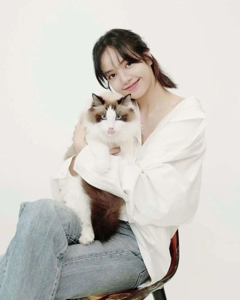 lisa|luca 生日快乐_腾讯新闻