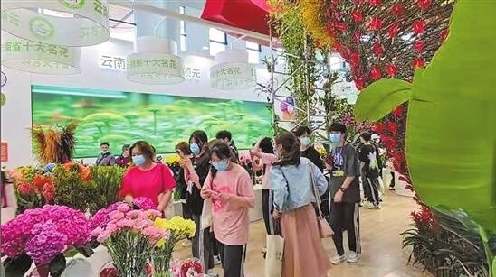第十届中国花卉博览会开幕云花惊艳上海 腾讯新闻