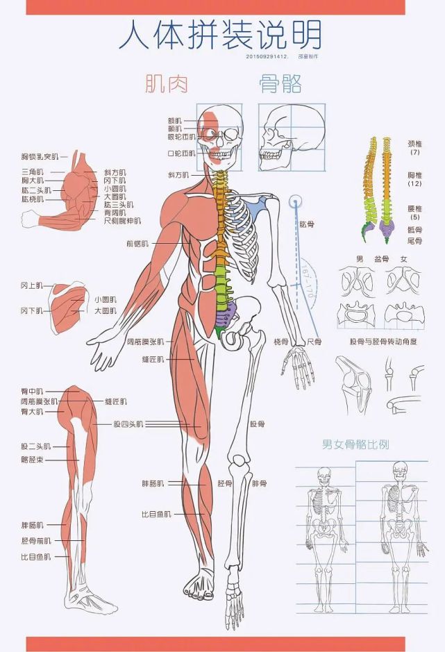 造型精准,面面俱到的超牛x油画,让万人跪拜!骨感强烈,一眼痴迷