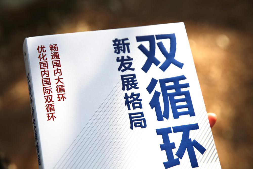 详解双循环新发展格局|经济学家贾康新作阐述如何实现中国经济高质量