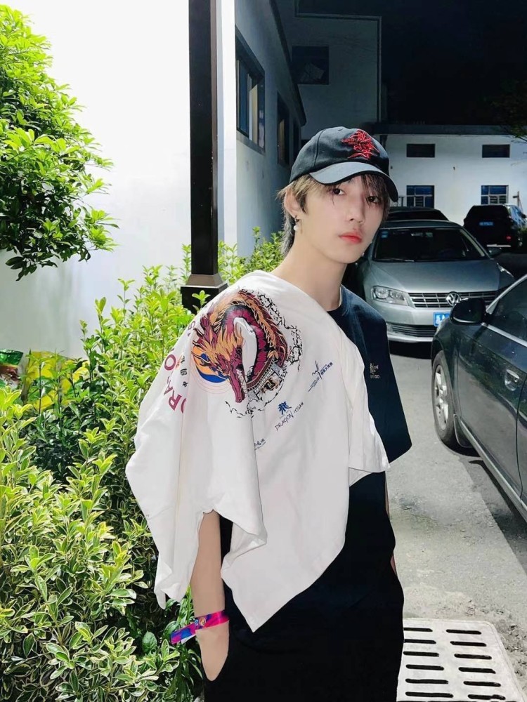 龙拳小子林秋楠长大了主演电影少林小子热血诠释武术精神