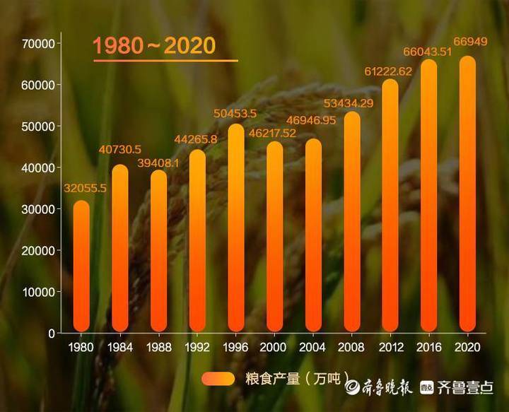 数说壹点一组数据告诉你中国杂交水稻到底多厉害