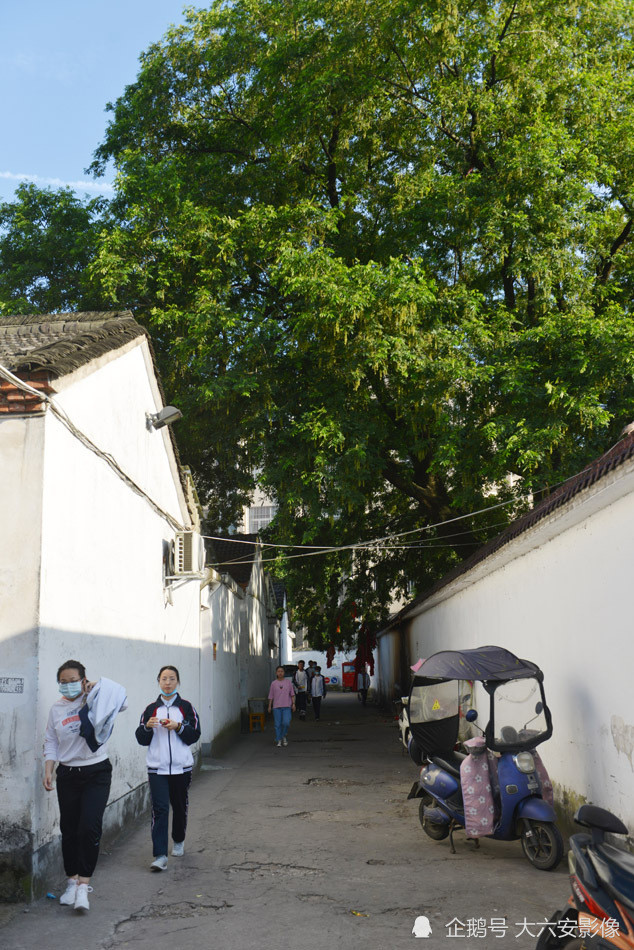 六安:毛坦厂中学树上挂满祈福高考红布条 小镇之夜灯火辉煌