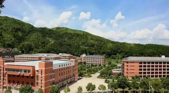 他们将在青田中学和青田县职业技术学校两个考点进行考试.