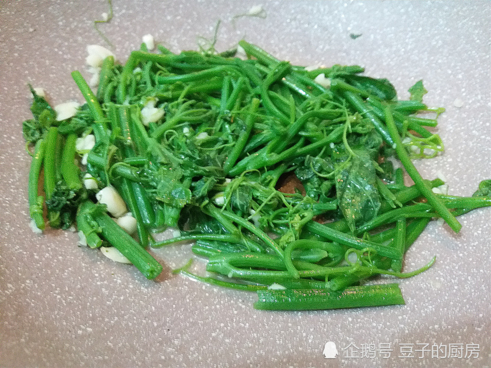 3,蒜香洋丝瓜苗就炒了,做法简单,用猪油炒,菜更香还绿油油的.