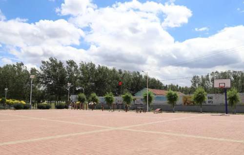 梨树县林海镇:环境整治见实效 乡村美景"入画来"